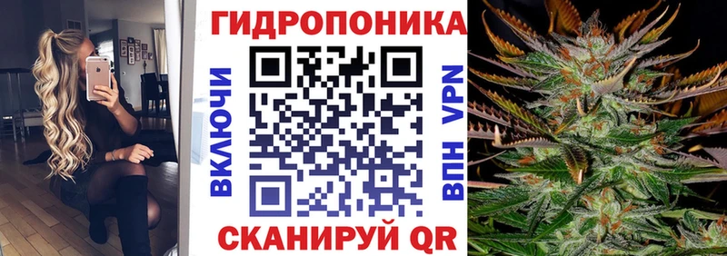 Бошки Шишки индика ОМГ ОМГ ссылки Хотьково